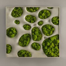 The Secret Garden The Secret Garden