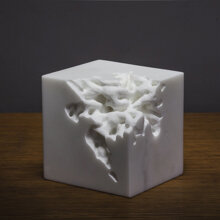 Marble Worm Marble Worm