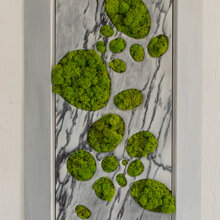 The Secret Garden II The Secret Garden II