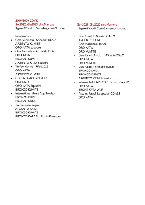 palmares dimaggio2.jpeg