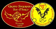 logo gssm-evr nero.jpeg