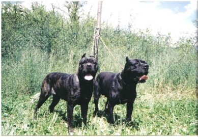 1d32e005fc24b3a7727f077e66c5b1fc36df40c3