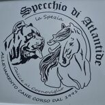 logo.jpeg