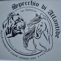 logo.jpeg