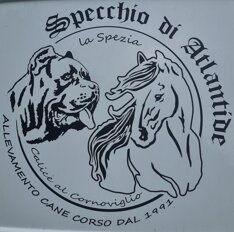 logo.jpeg