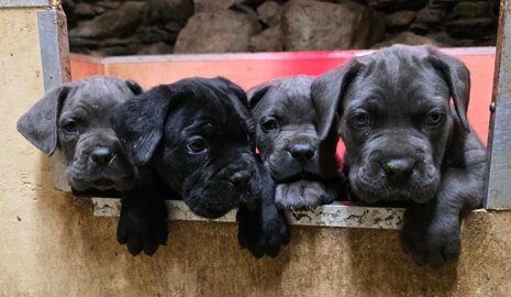 de84900fb5b89b4f6c71e878817cead1d29261b7