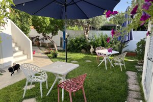 img_6639.jpeg img_6639.jpeg