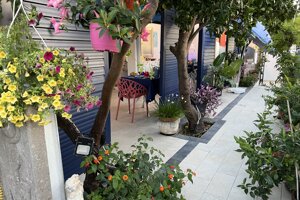 img_6989.jpeg img_6989.jpeg