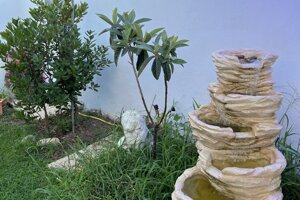 img_6814.jpeg img_6814.jpeg