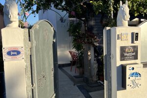 img_6268.jpeg img_6268.jpeg