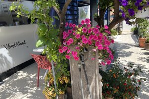 gtrd0261.jpeg gtrd0261.jpeg