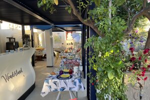 img_6442.jpeg img_6442.jpeg