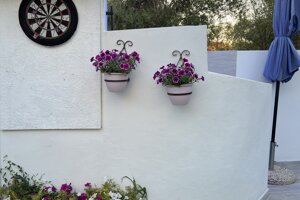 img_6987.jpeg img_6987.jpeg