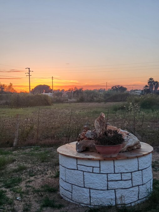 foto 1 giardino con tramonto.jpeg foto 1 giardino con tramonto.jpeg