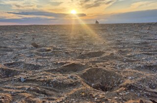 20250425_165606.jpeg 20250425_165606.jpeg