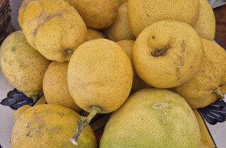 veranda%20esterna.jpeg veranda%20esterna.jpeg