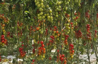 20250427_210352.jpeg 20250427_210352.jpeg