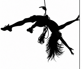 vertical dance academy logo vertical dance academy logo