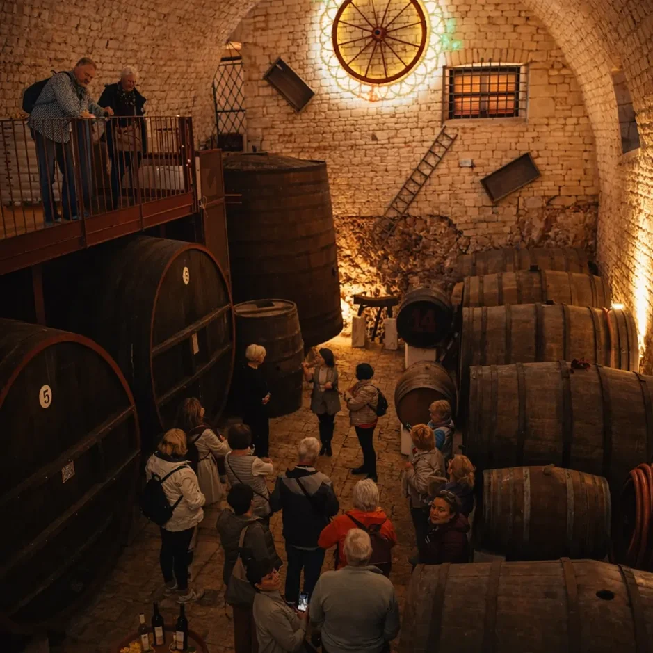 image00050_risultato image00050_risultato