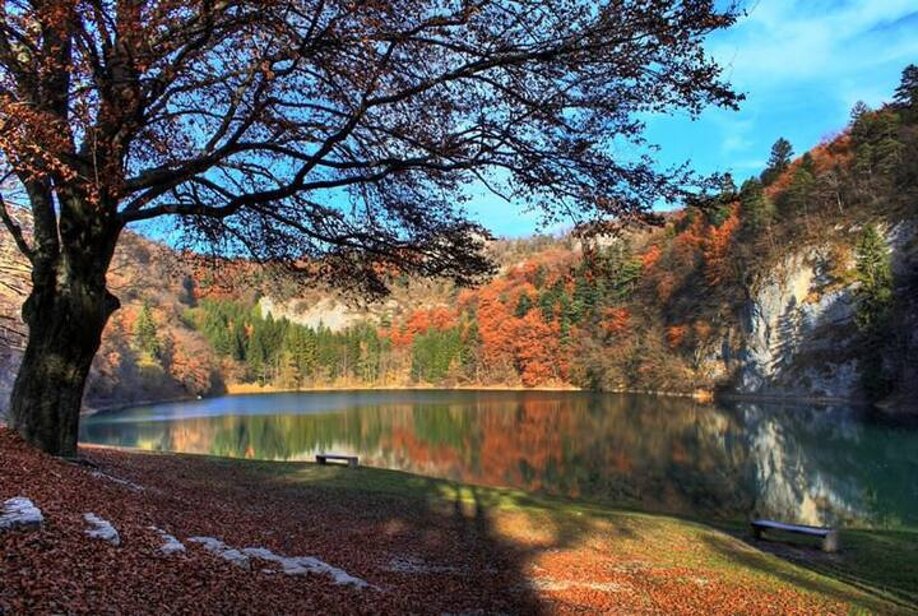 casa -lago lamar autun.jpeg