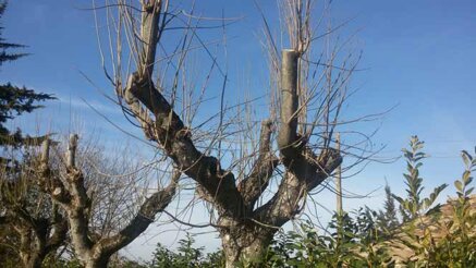 c142a082196470fd113cfa7b1ad9d614b7a1c9f9