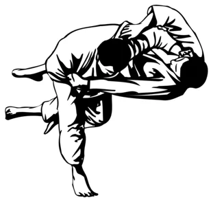 depositphotos_52104575-stock-illustration-judo-fight
