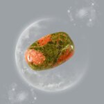 unakite-pietra-della-guarigione-del-cuore-e-dellamore-consapevole