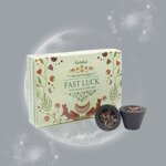 goloka-sacred-smudges-fast-luck