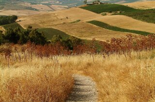 gibellina.jpeg gibellina.jpeg