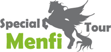 logo special tour.jpeg