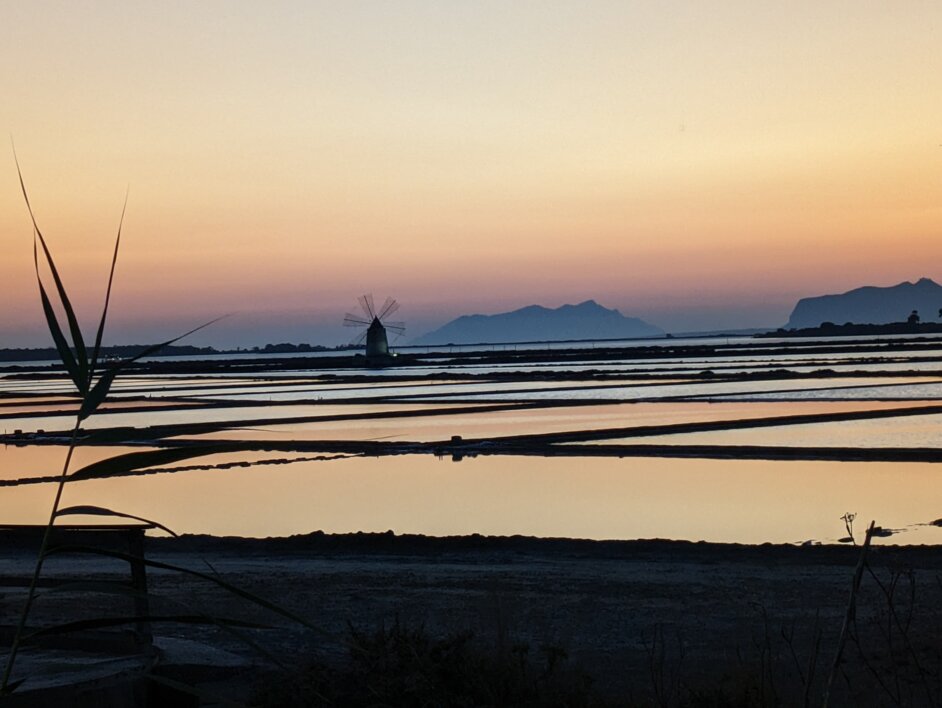 pxl_20230817_182208732.mp.jpeg pxl_20230817_182208732.mp.jpeg