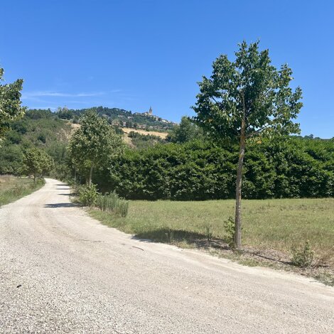 todi.jpeg