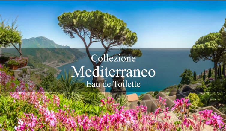 mediterraneo_eau de toilette_sevens parfume.jpeg