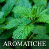 b10_aromatiche.jpeg