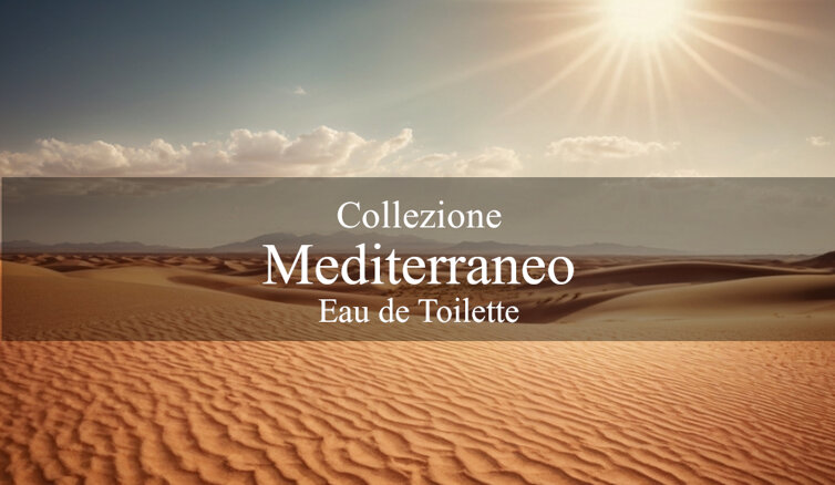 note d'oriente_eau de toilette_sevens parfume.jpeg