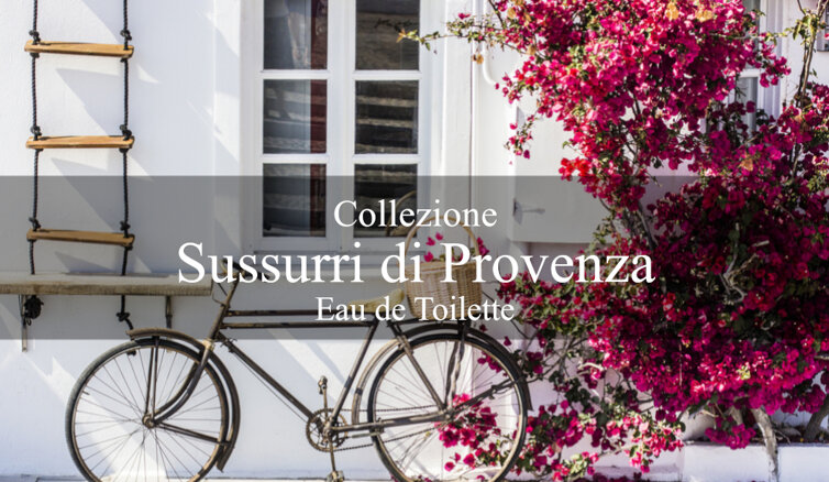 sussurri di provenza_eau de toilette_sevens parfume.jpeg