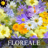 b2_floreale.jpeg