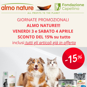 gran%20festa%20della%20gallina%202026