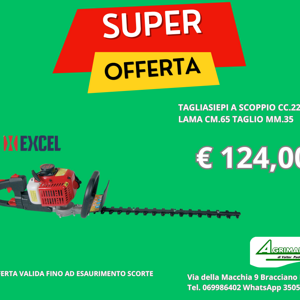 motosega%20scoppio%20cc.25,4%20per%20potatura%20barra%20cm.25excel