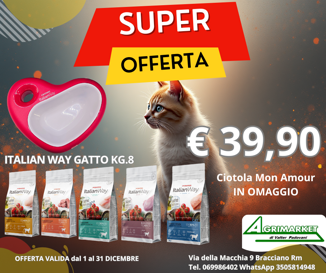 italianway gatto kg. 8