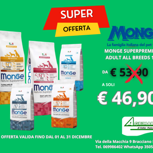 motosega%20cc.25,4%20per%20potatura%20barra%20cm.25