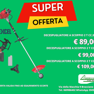 mototrivella%2052%20%20excel