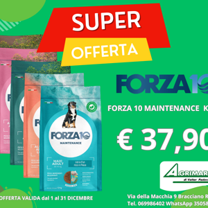 italianway%20adult%20kg.%2012