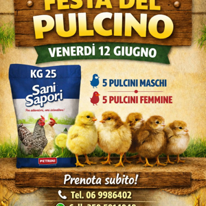 rasaerba%20a%20scoppio%20cc.171%20excel