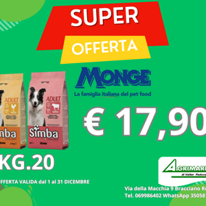 aspiratore%20soffiatore%20c%20line