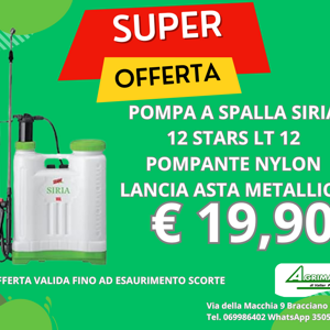 italianway%20gatto%20kg.%208