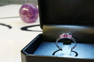 551948437_1548623529835528_106424229339439748_n.jpeg 551948437_1548623529835528_106424229339439748_n.jpeg