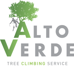 c105ee2b1fd5d769911780c0b76a92cecb2b8905