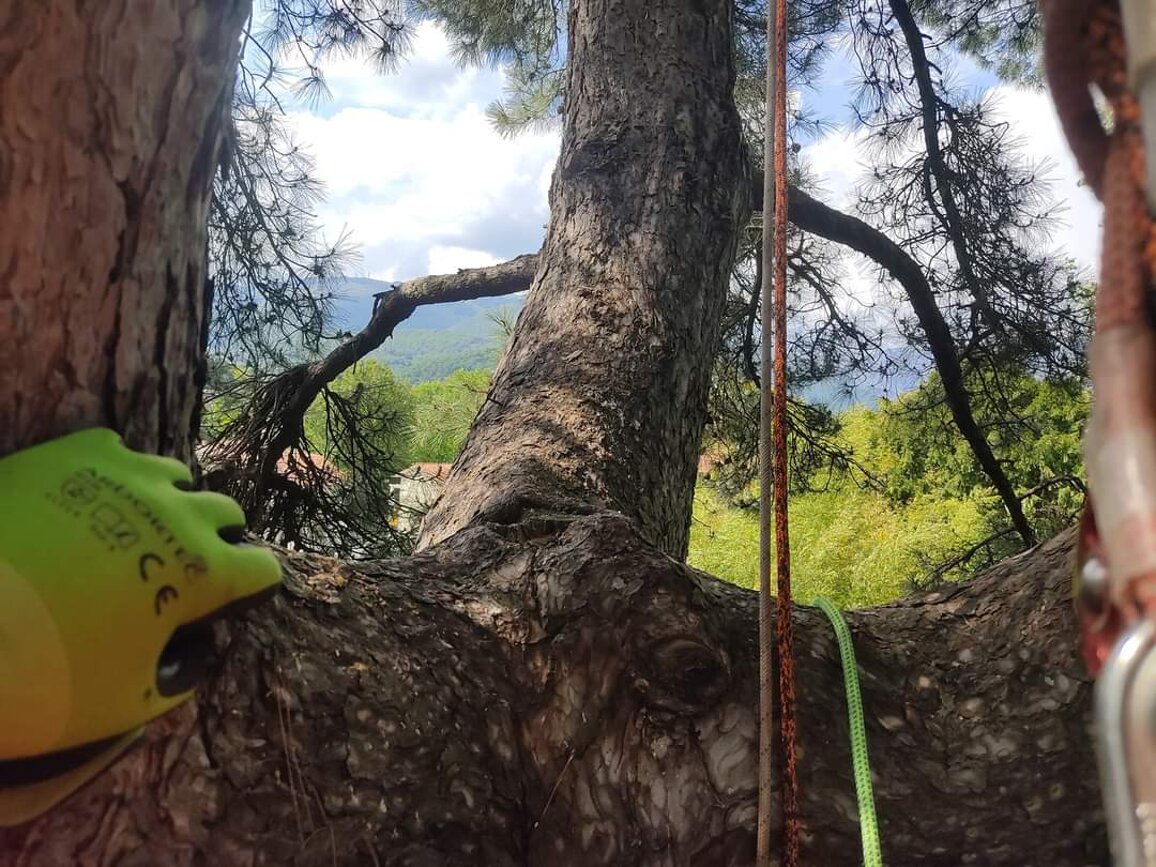 df77d8e5a4cbdb4a6a5f76e4885d3a04ab4b9e50