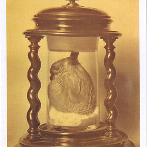 pxb_2238537_da86d4277696e6bb24e852b0266676ef